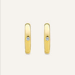 14KT Gold Plated earrings with Cubic Zirconia