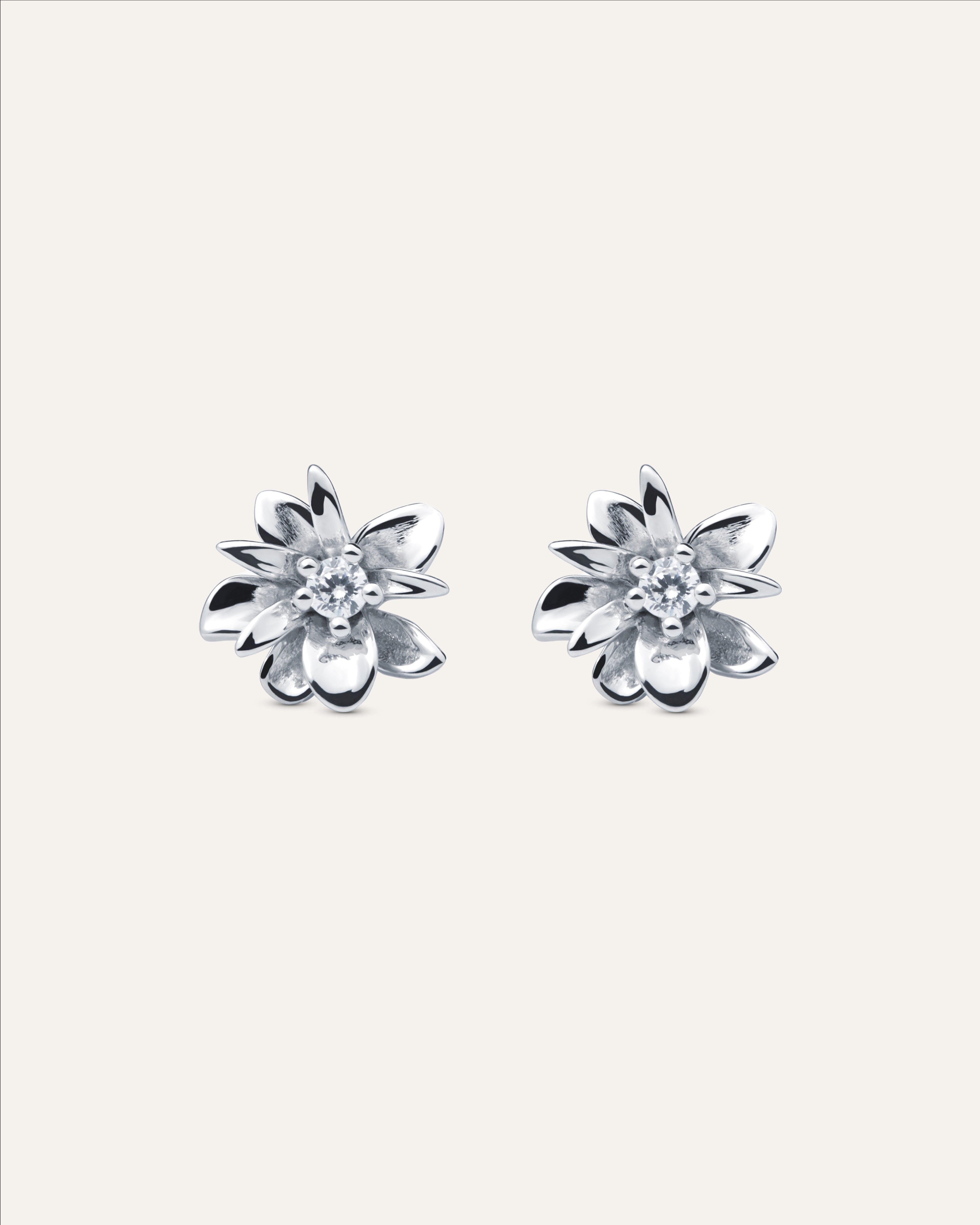 Silver earrings