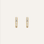 14KT Gold Plated earring with Cubic Zirconia