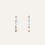 14KT Gold Plated earrings with Cubic Zirconia