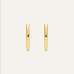 14KT Gold Plated earrings