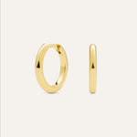 14KT Gold Plated earrings