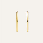 14KT Gold Plated earrings