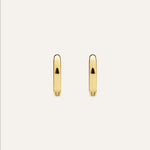 14KT Gold Plated earrings