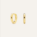 14KT Gold Plated earrings