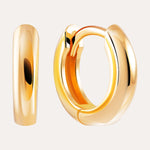 18KT Gold Plated earrings