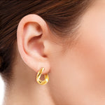 18KT Gold Plated earrings