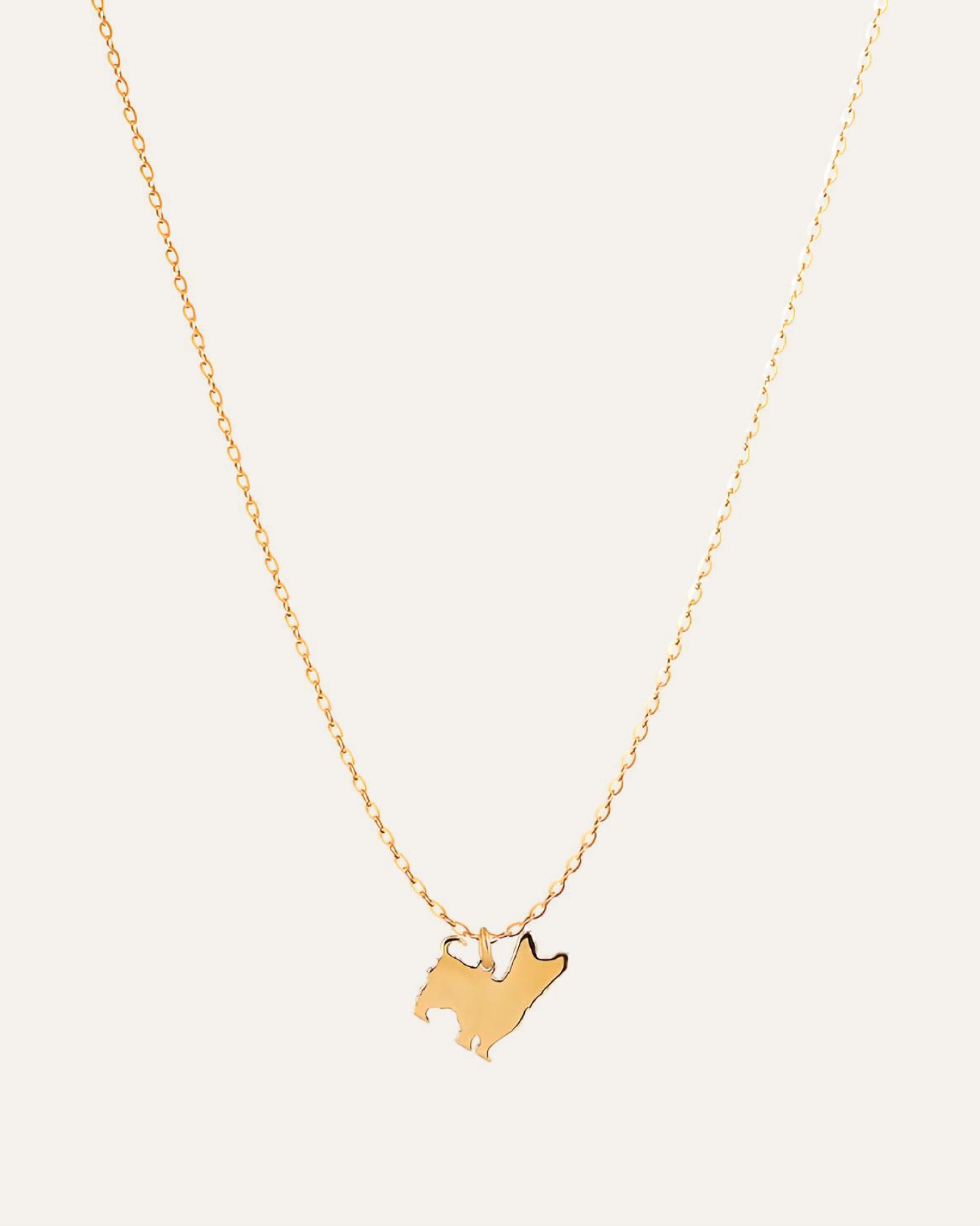 18KT Gold Plated necklace