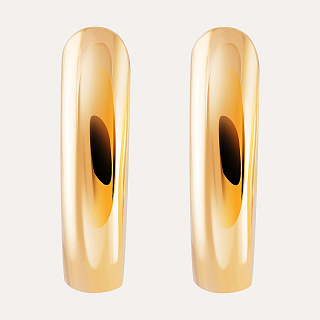 18KT Gold Plated earrings